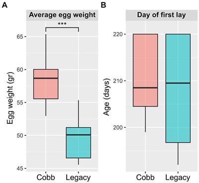 Comparative analysis of reproductive tract microbiomes in modern and slower-growing broiler breeder lines